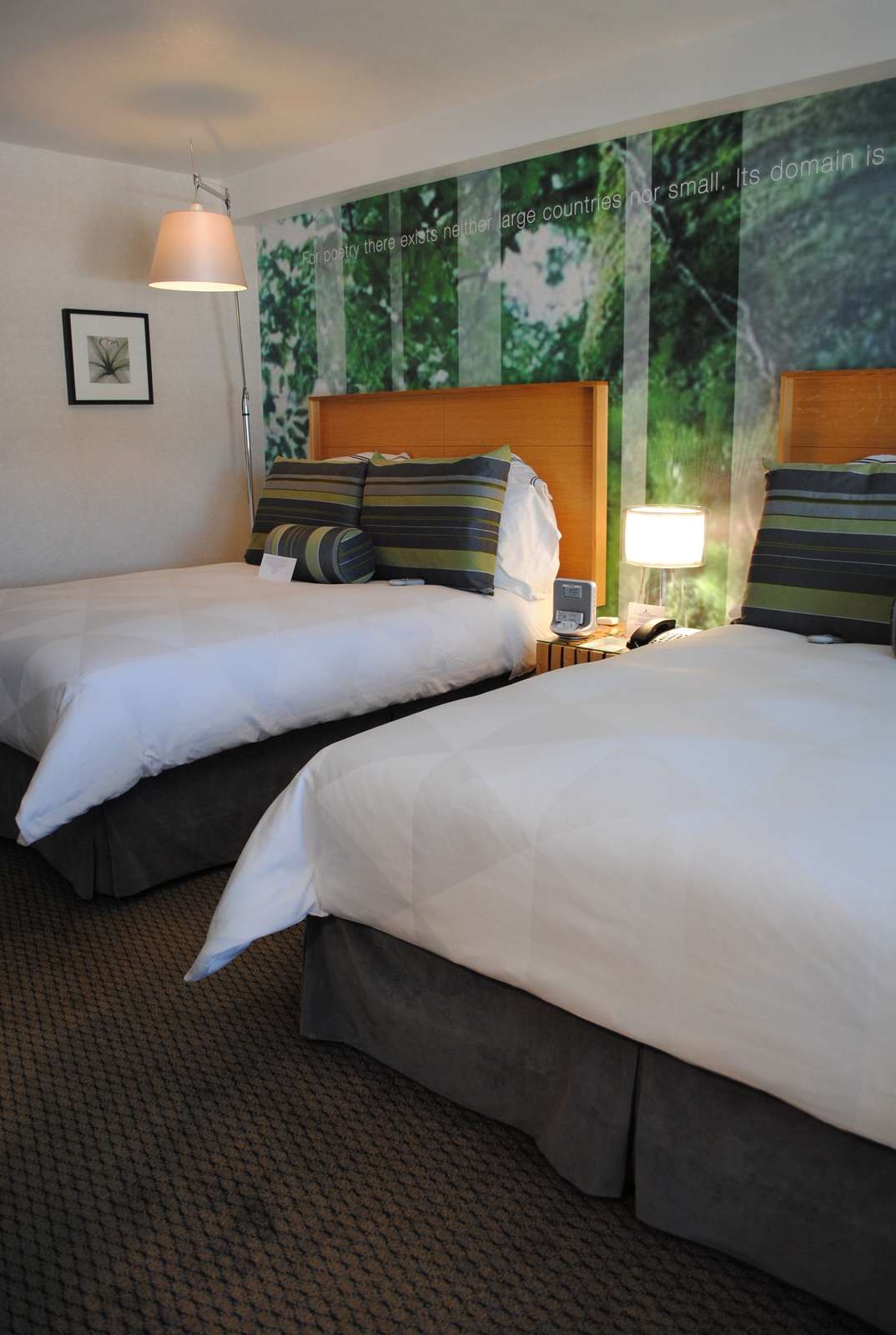 Hotel The Domain Hotel photo 5