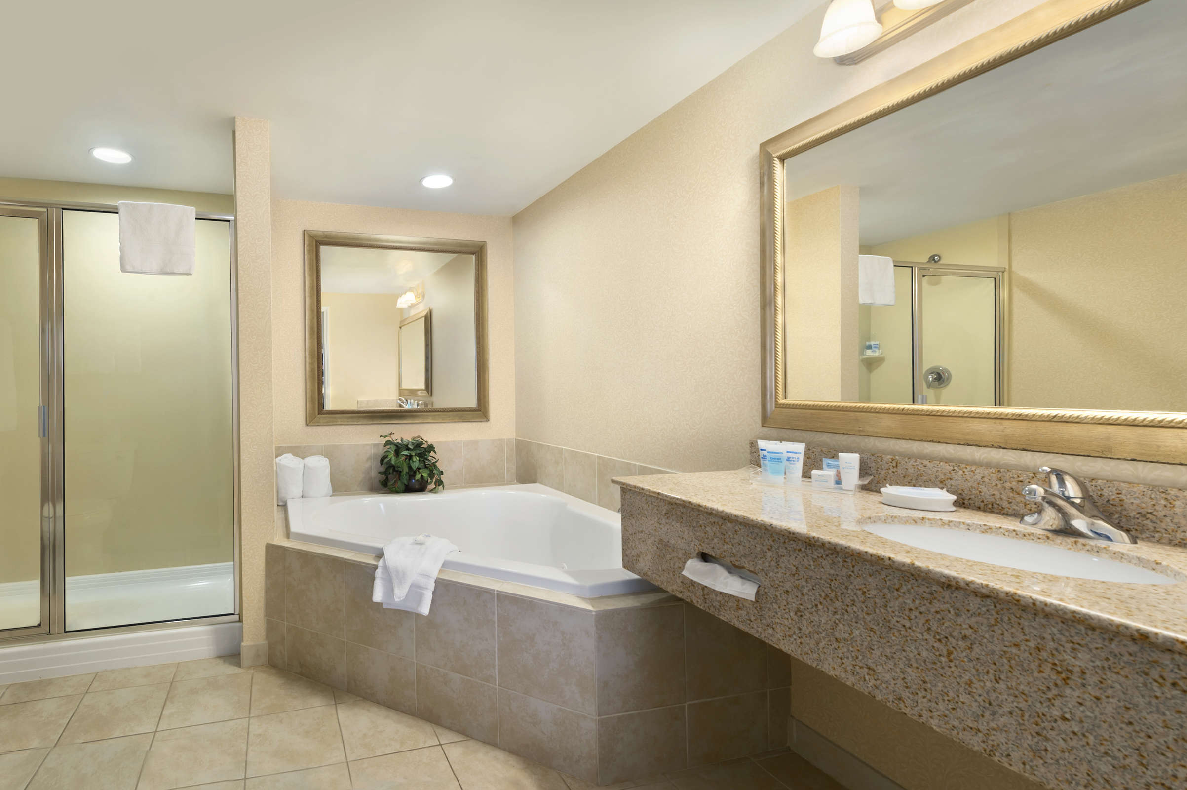 Hotel Inn at USC Wyndham Garden photo 5