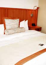 Hotel Wyndham Garden Austin photo 3