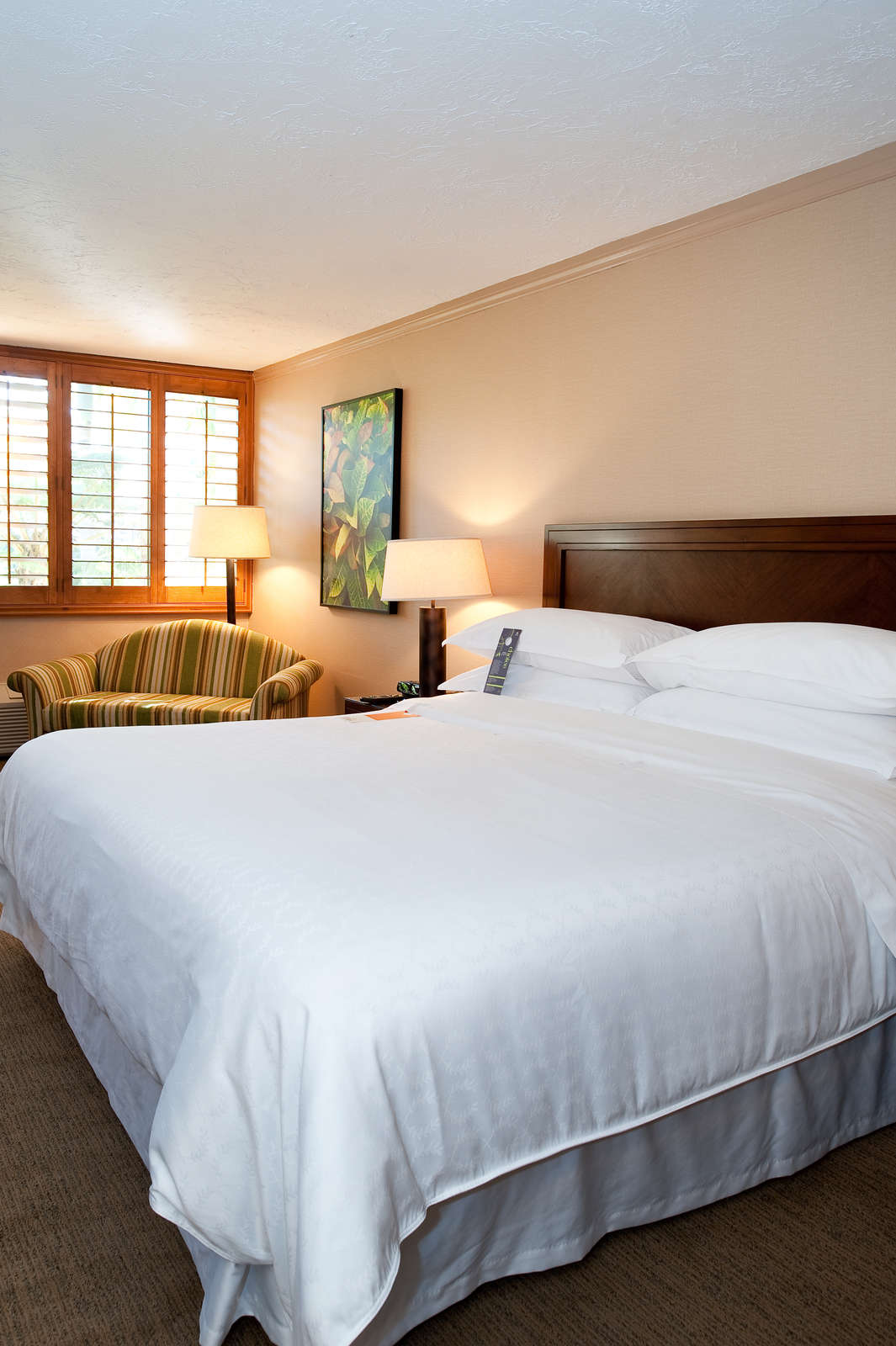 Hotel Sheraton La Jolla Hotel photo 5