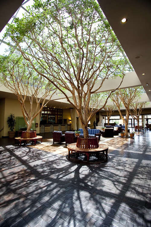 Hotel Portola Hotel & Spa at Monterey Bay photo 1