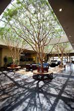 Hotel Portola Hotel & Spa at Monterey Bay photo 1