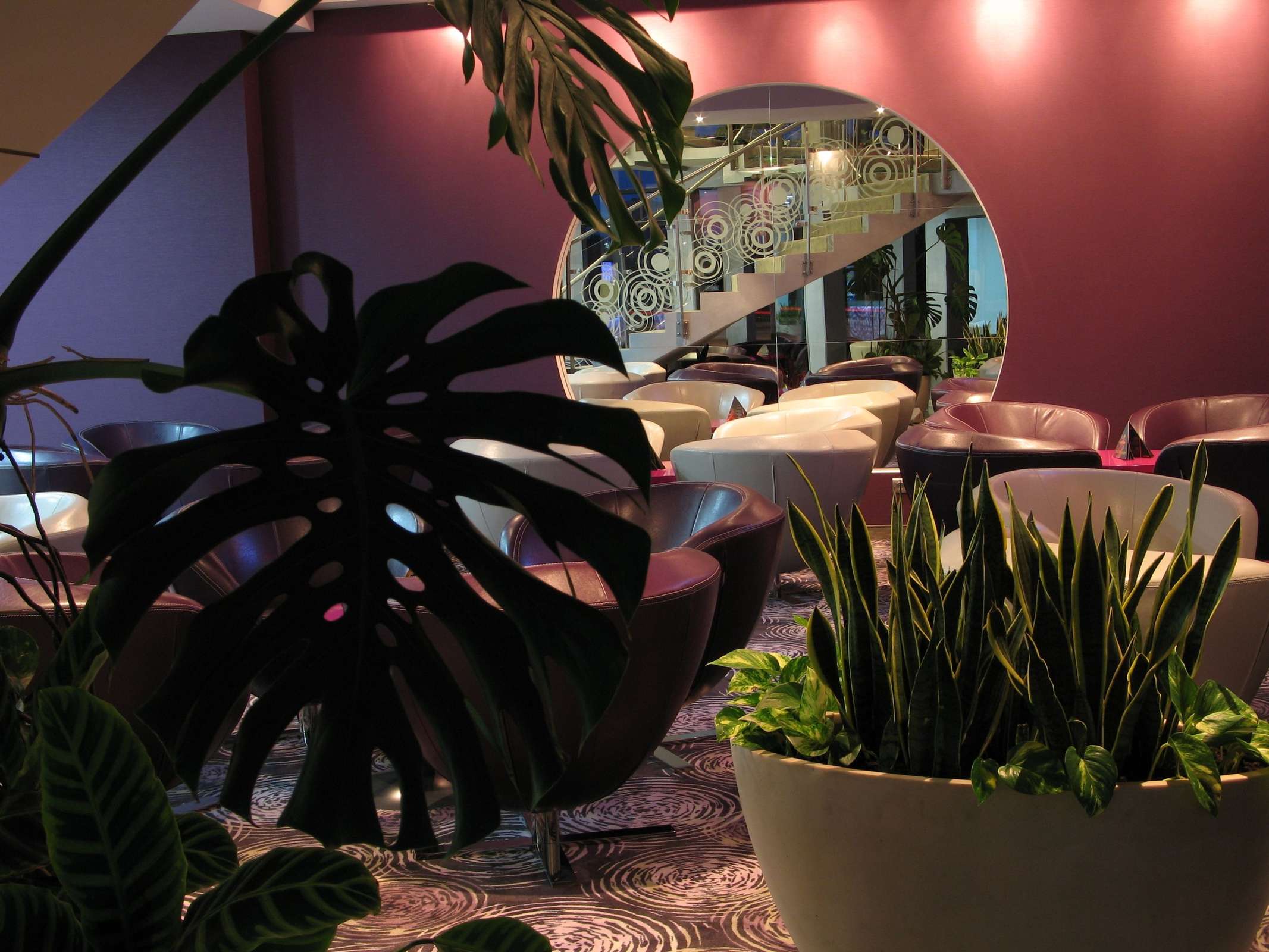 Hotel Galaxy Hotel photo 2