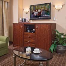 Hotel The Plaza Suites photo 5