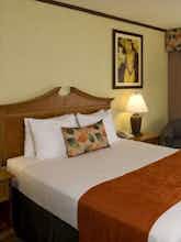 Hotel Best Western Seven Seas photo 4