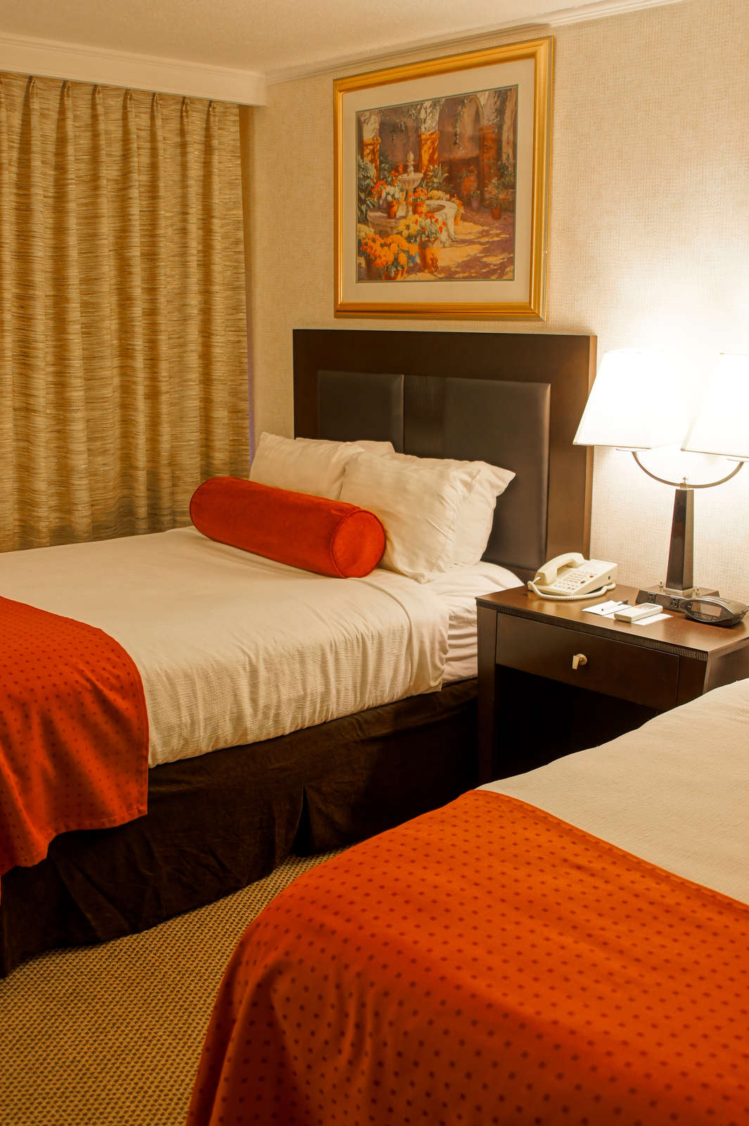 Hotel El Tropicano Riverwalk Hotel photo 3