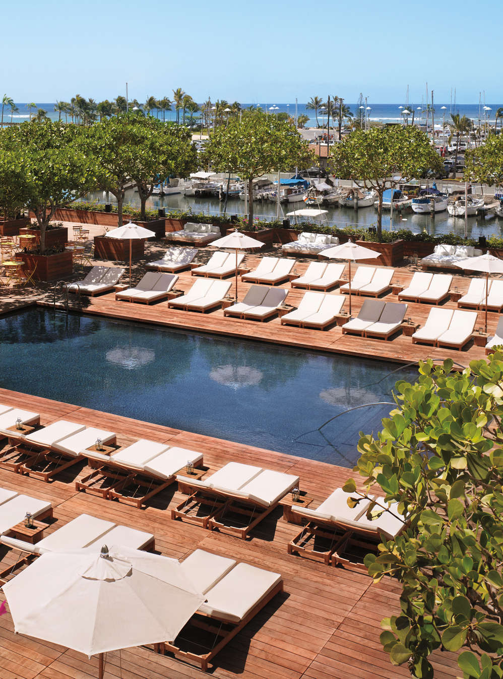 Hotel The Modern Honolulu photo 3