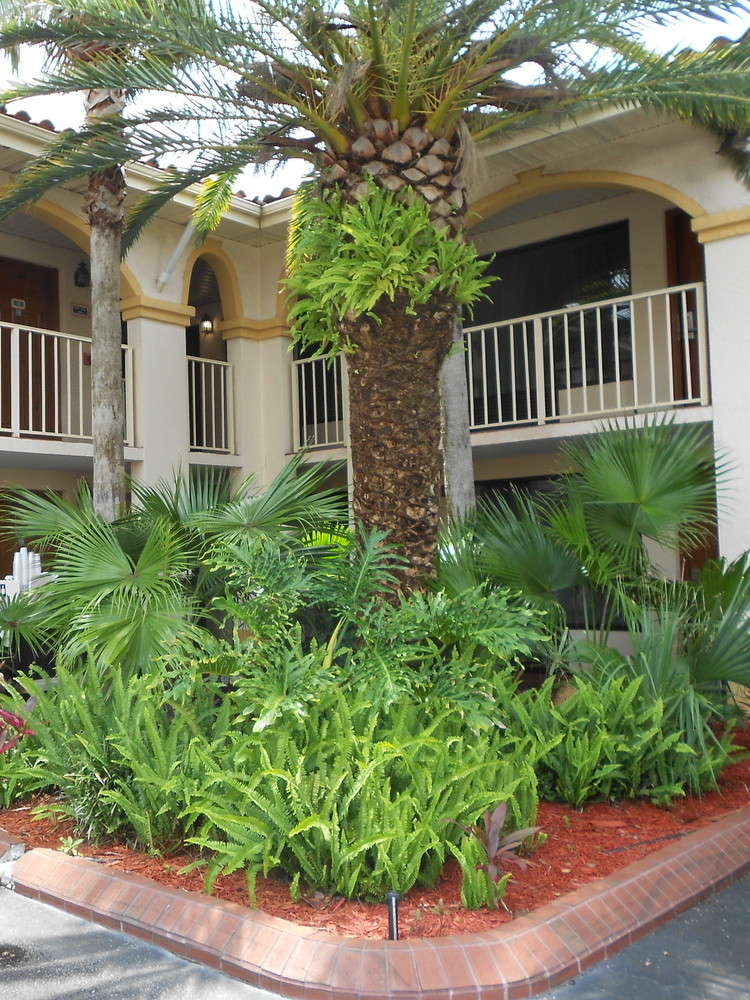 Hotel Best Western Historical Inn photo 4