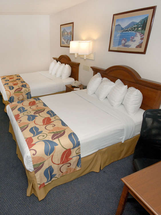 Hotel Best Western Executive Hotel of New Haven-West Haven photo 3