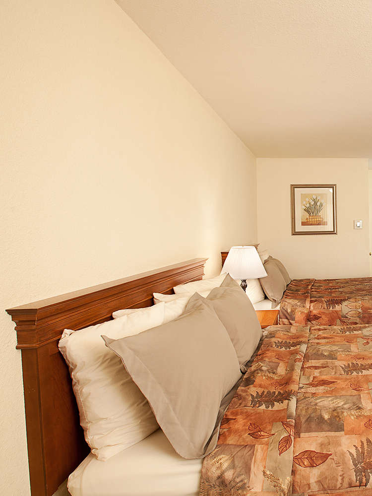 Hotel Best Western Golden Key photo 1