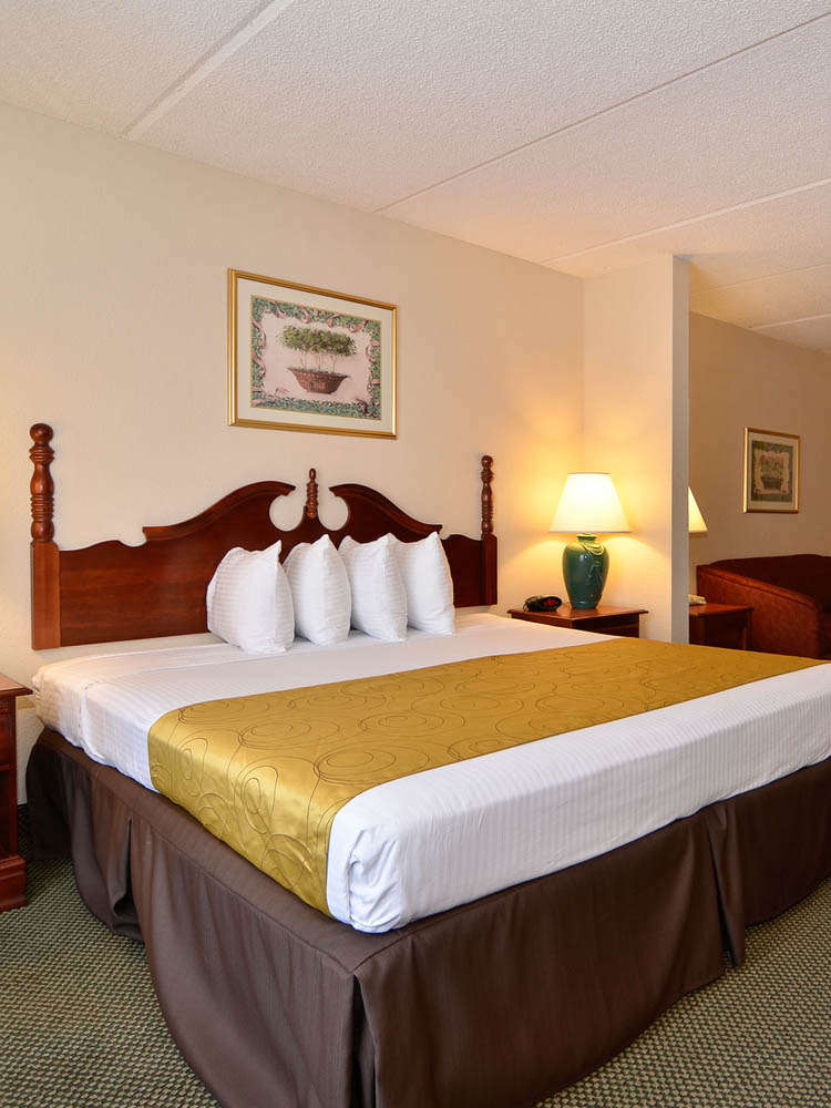 Hotel Best Western Plus Hotel & Suites Airport South photo 3