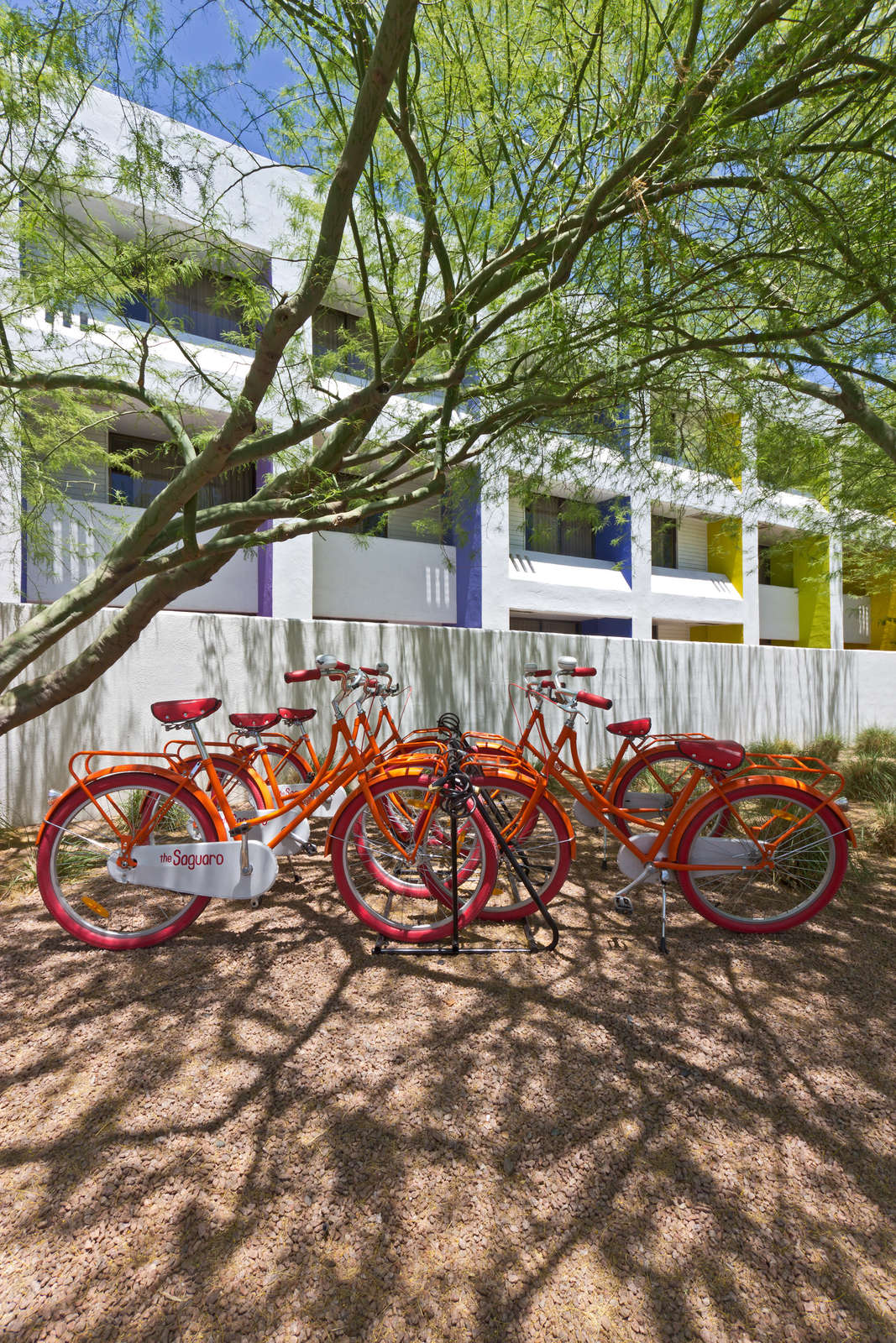 Hotel The Saguaro Scottsdale photo 1