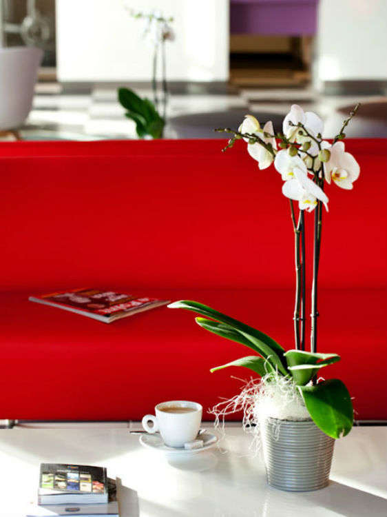 Hotel Best Western Plus Hotel Le Rhenan photo 3