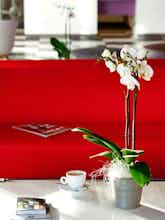 Hotel Best Western Plus Hotel Le Rhenan photo 3