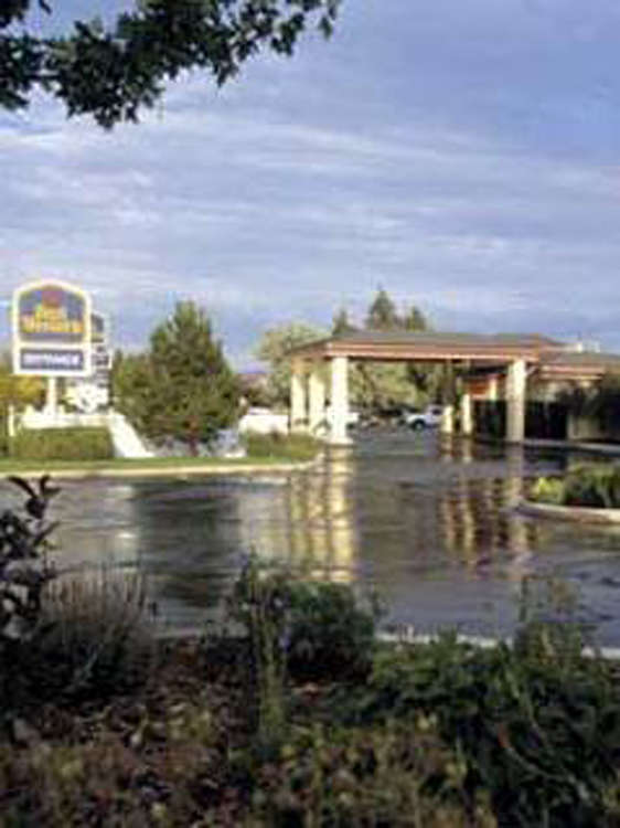 Hotel Best Western Dunmar Inn photo 4