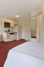 Hotel Days Inn and Suites photo 4