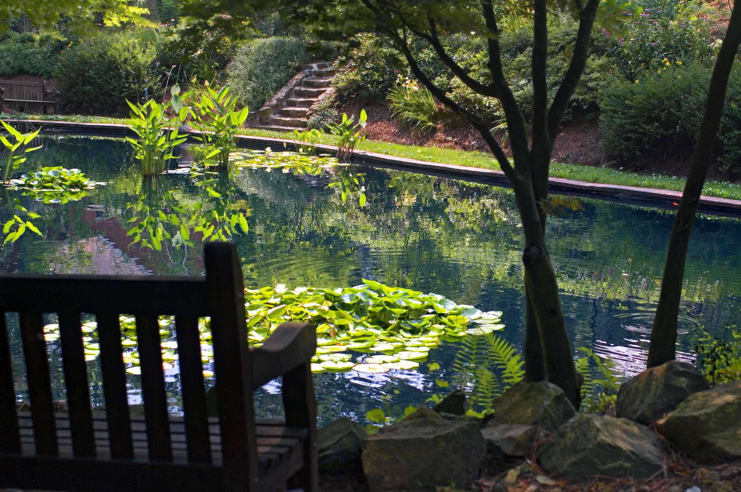 Hotel VanLandingham Estate photo 3