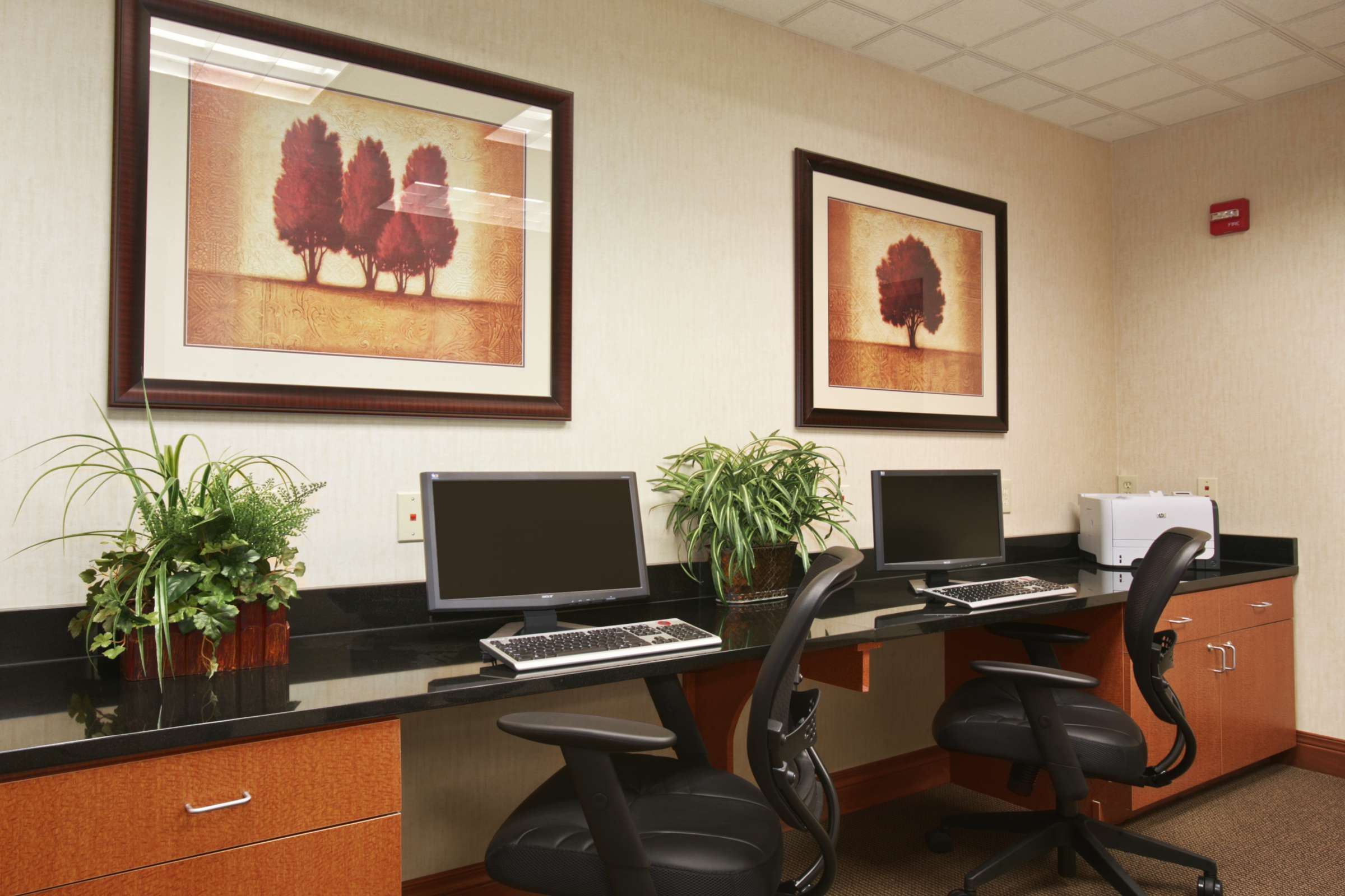 Hotel Wingate Cincinnati Airport photo 3