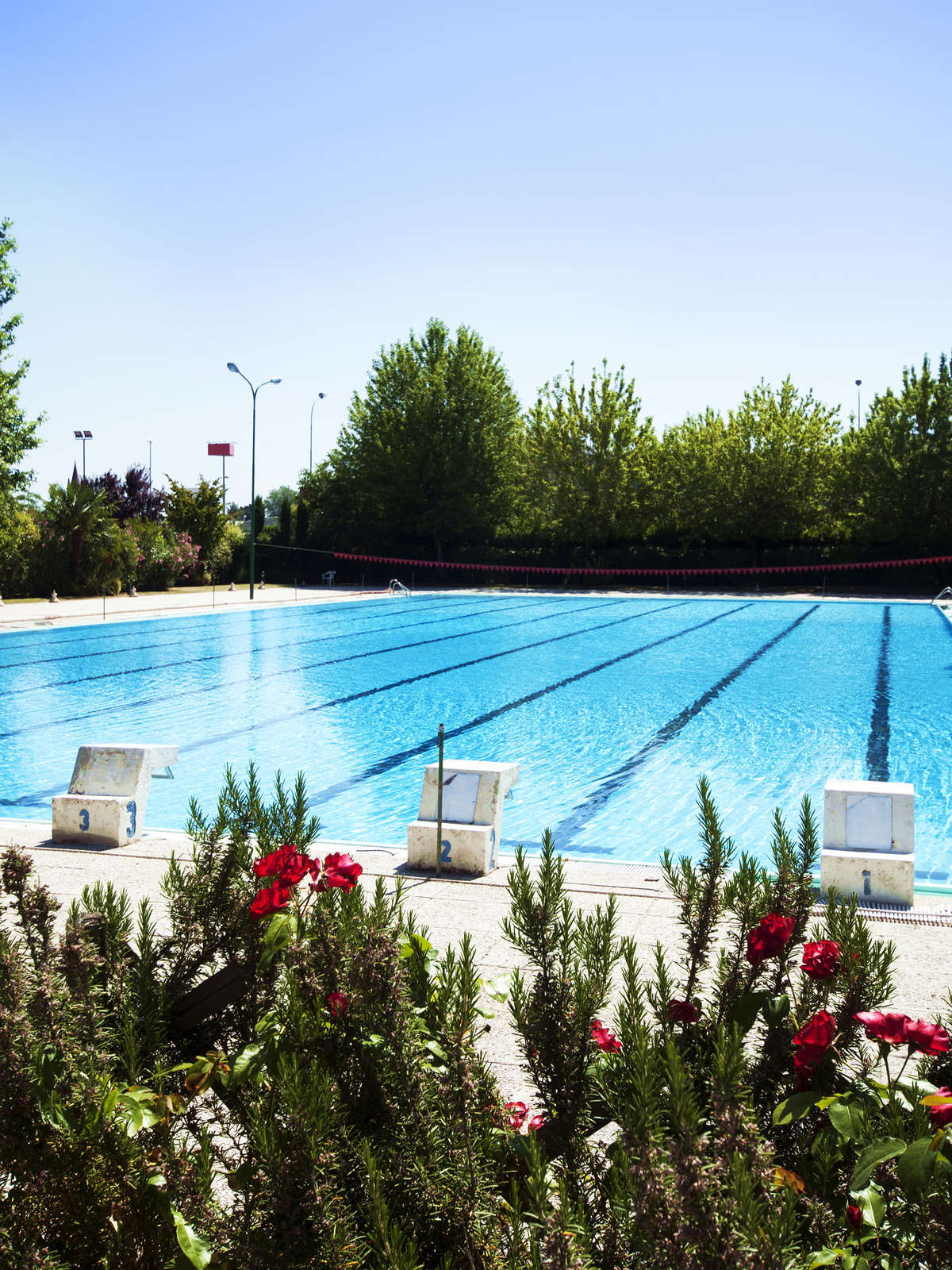 Hotel Living Place Hotel photo 1