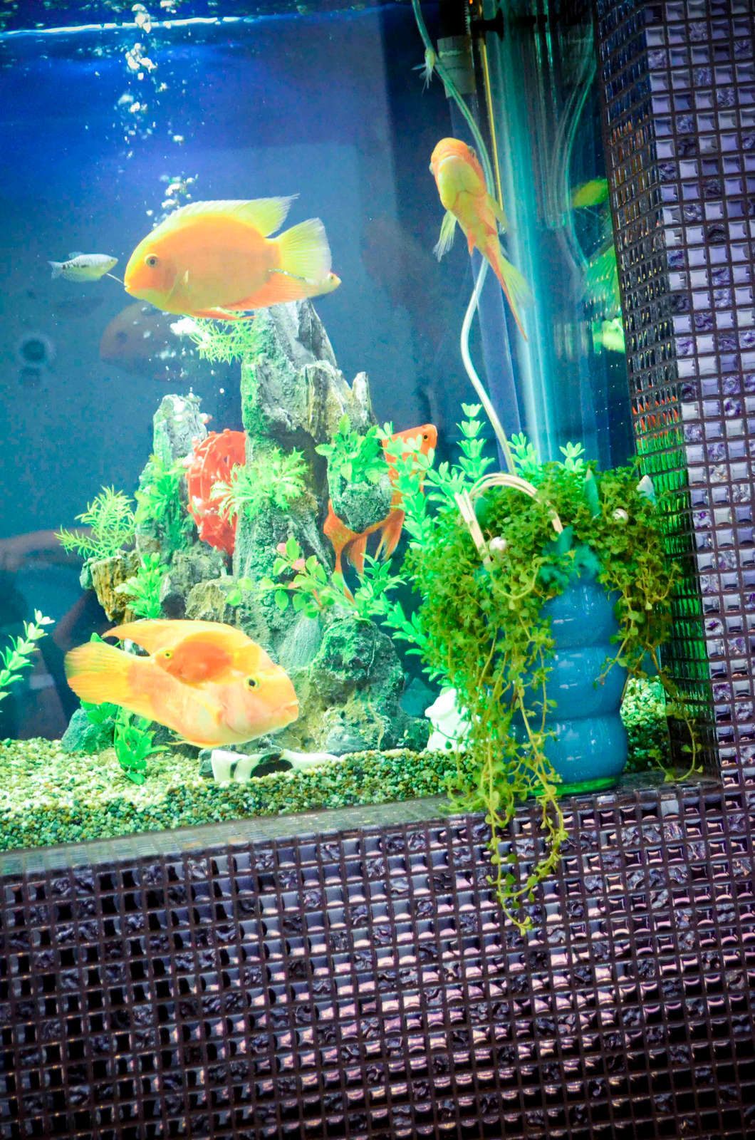 Hotel Hotel Blu photo 2