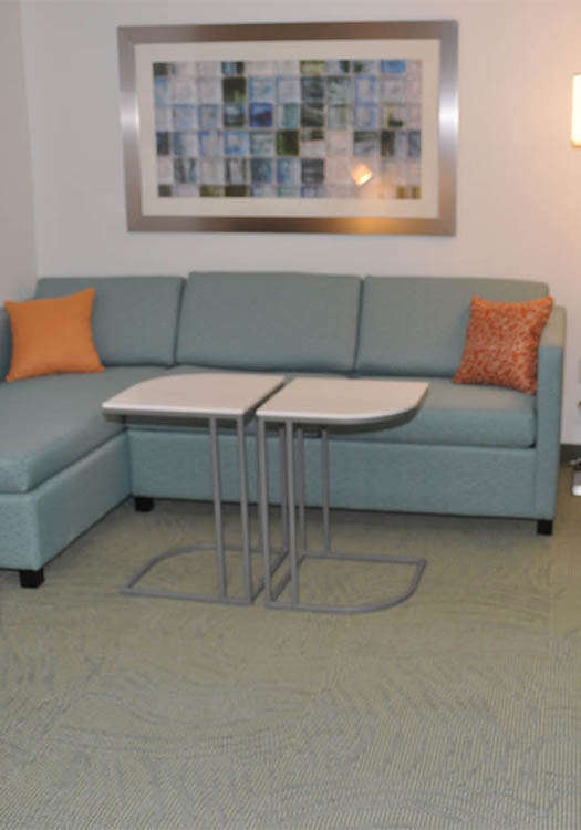 Hotel SpringHill Suites North photo 4