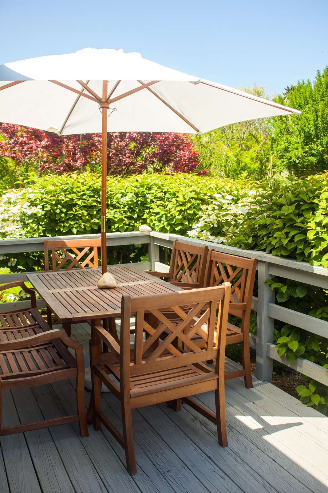 Hotel Beach Plum Resort photo 1