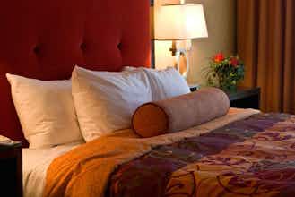 Hotel University Plaza Hotel photo 1