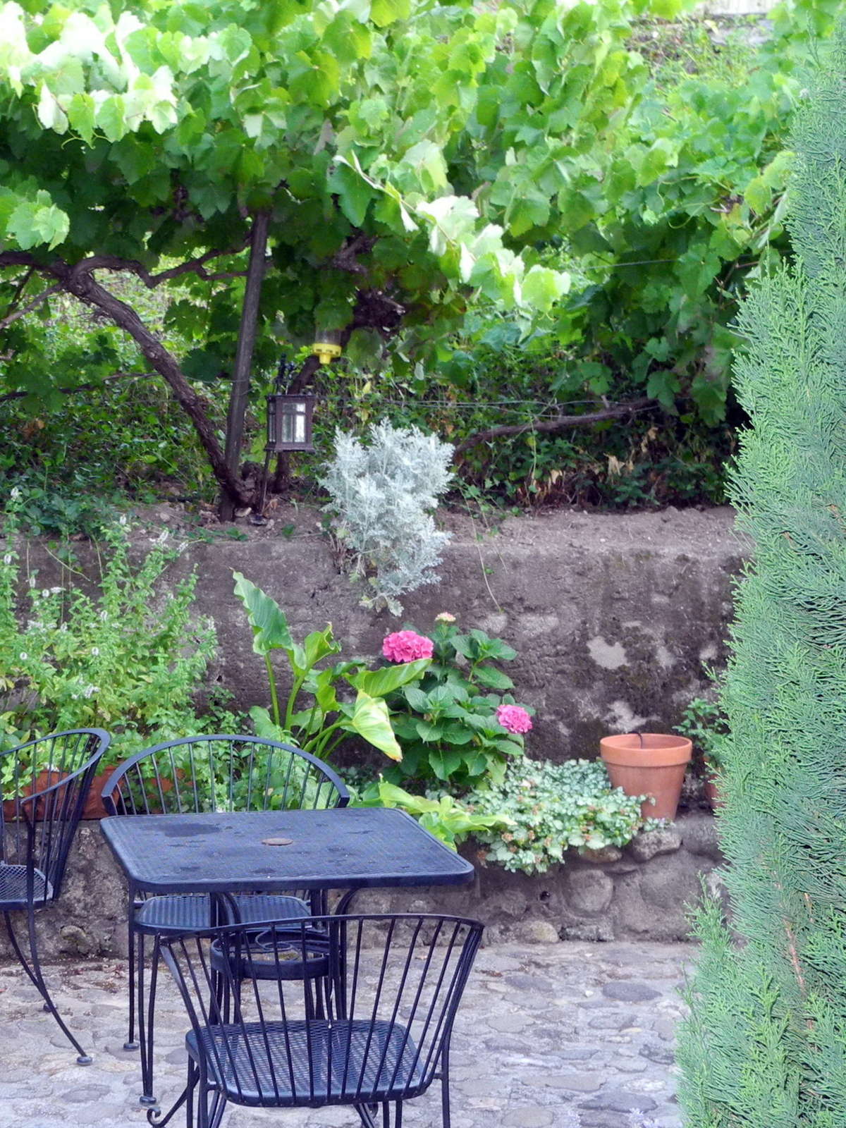 Hotel Chanric Inn photo 2