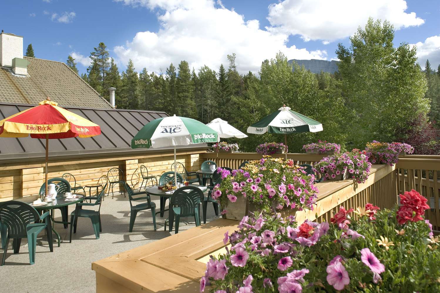 Hotel Banff Rocky Mountain Resort photo 1