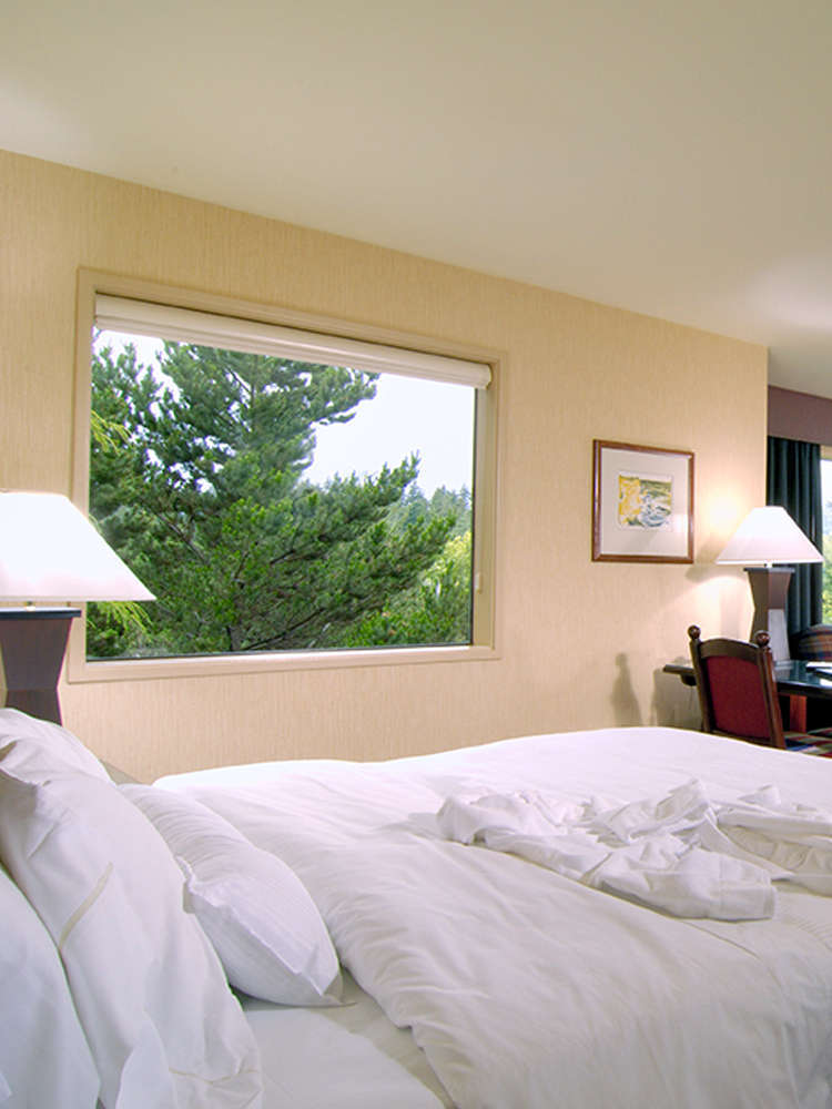 Hotel Salishan Spa and Golf Resort photo 1
