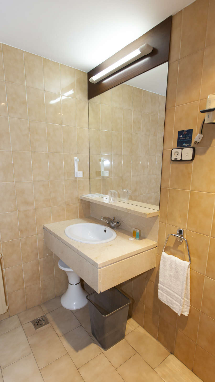 Hotel Hotel Zaragoza Royal photo 5