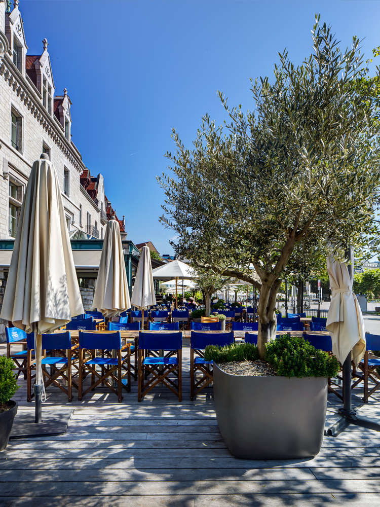 Hotel Château d'Ouchy photo 5