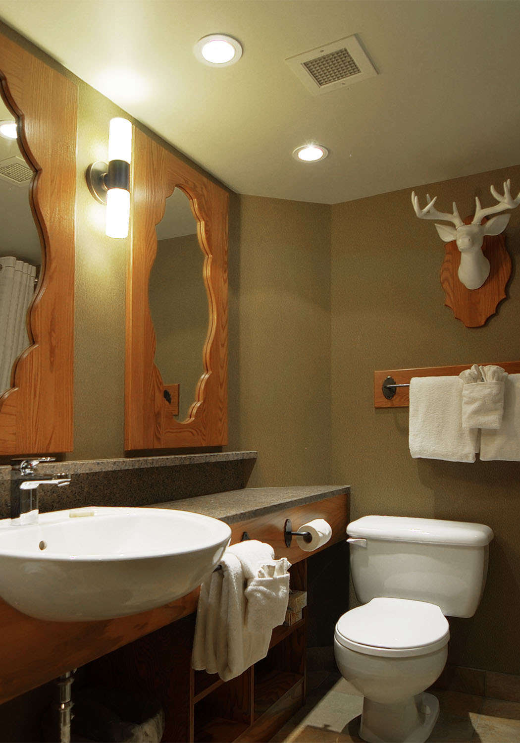 Hotel Banff Caribou Lodge and Spa photo 4