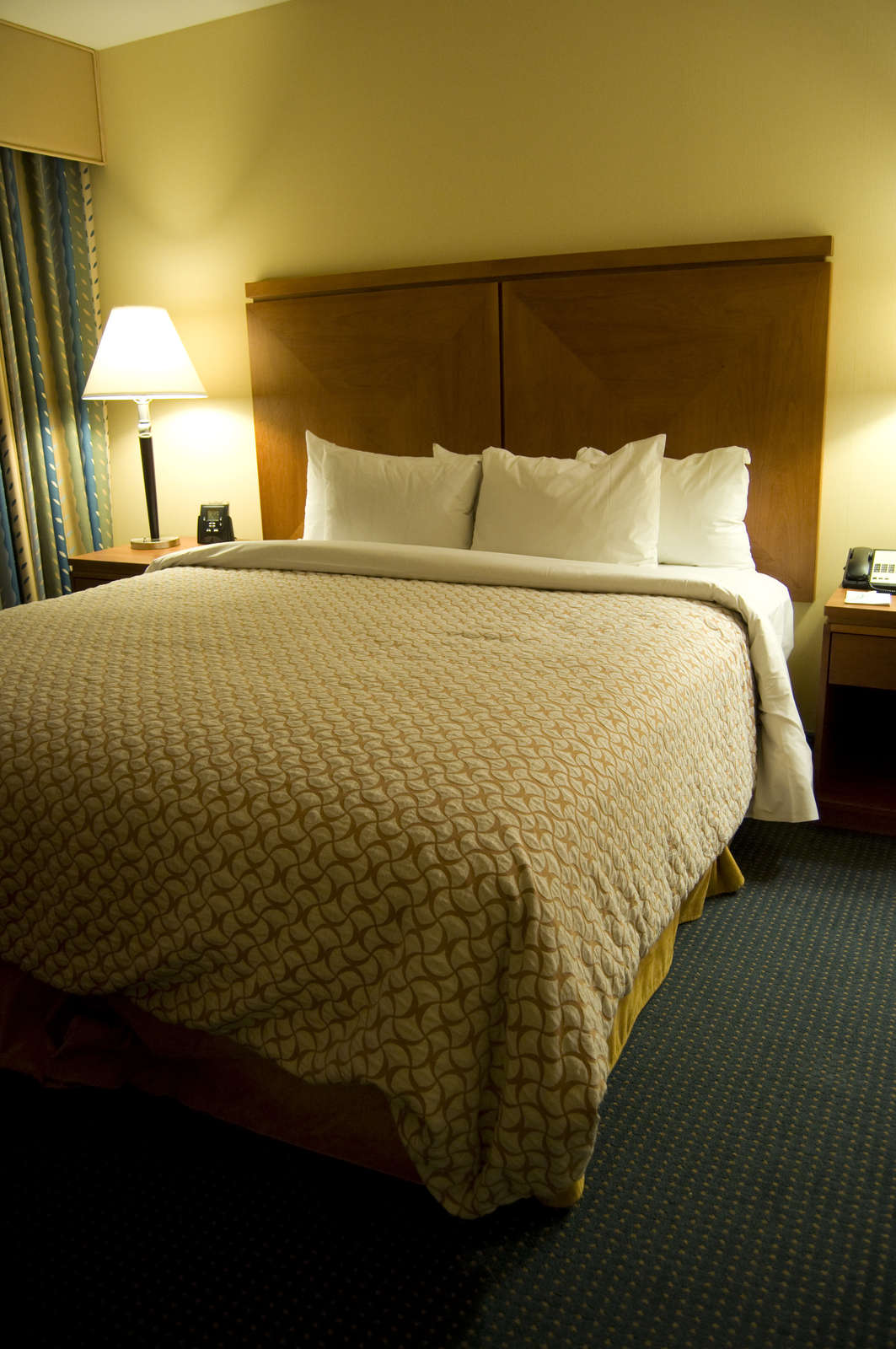 Hotel Embassy Suites, Logan Airport photo 4