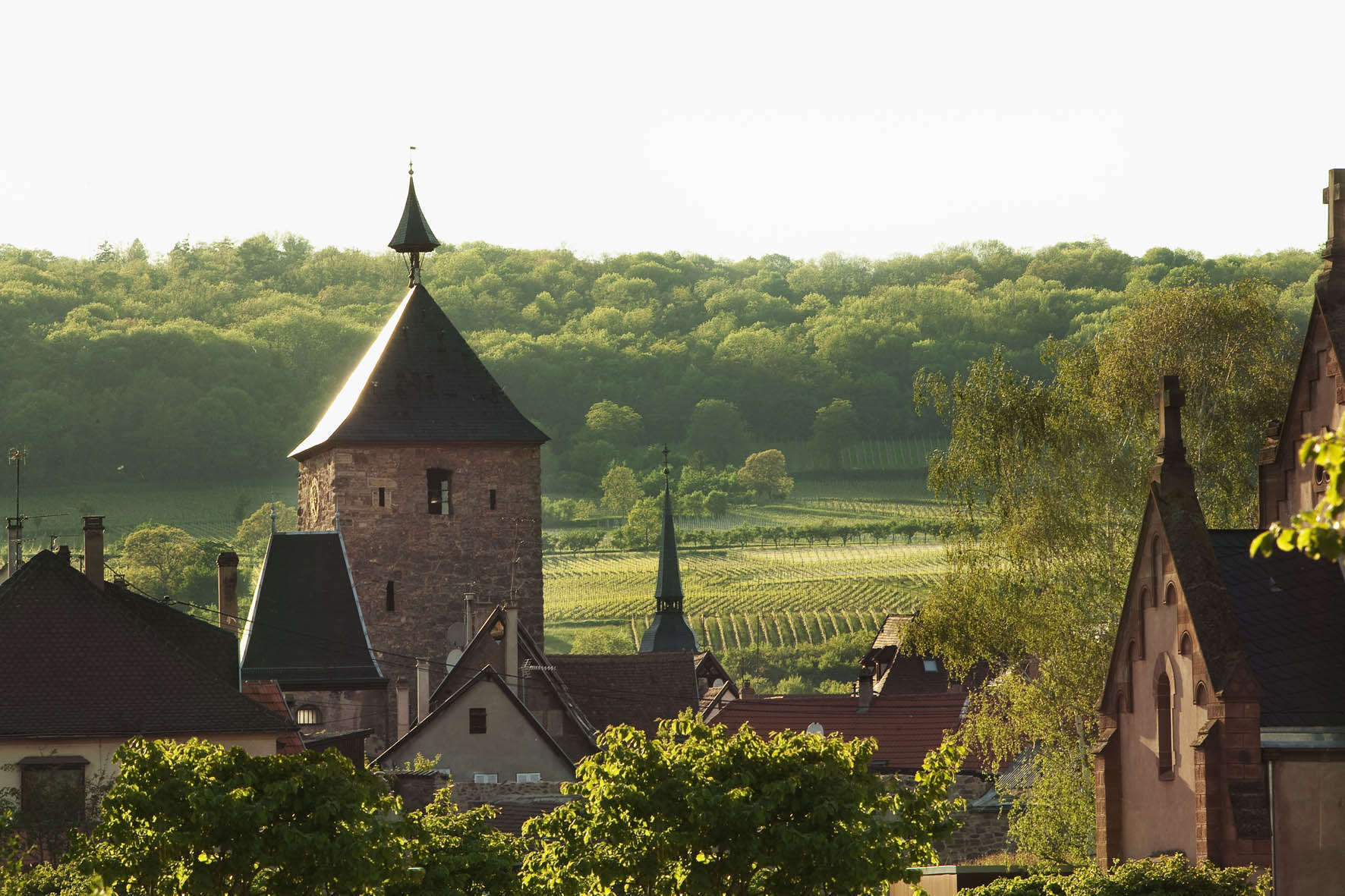 Hotel Hotel Diana Restaurant & Spa photo 1