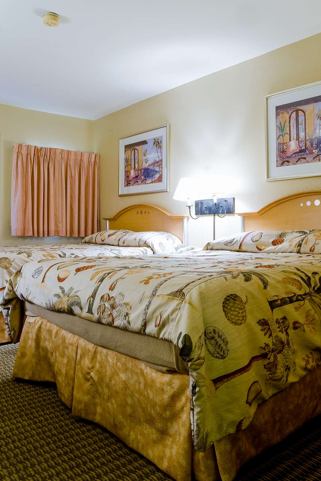 Hotel Catalina Canyon Resort photo 4