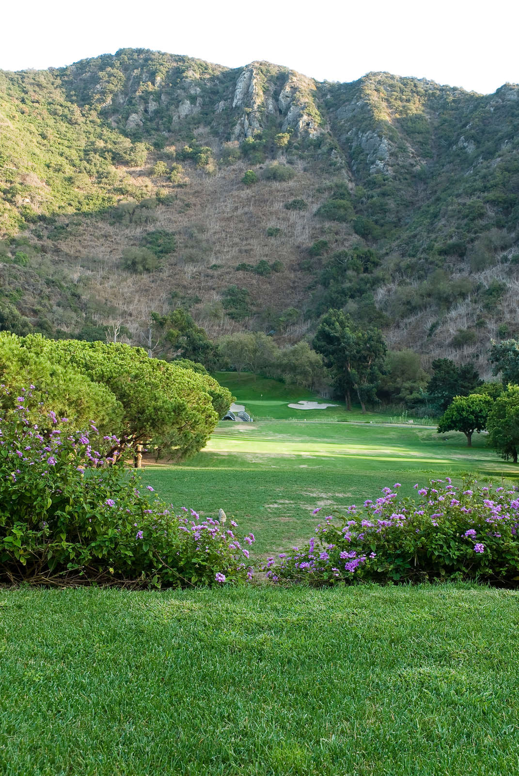 Hotel Aliso Creek Inn and Golf Course photo 3