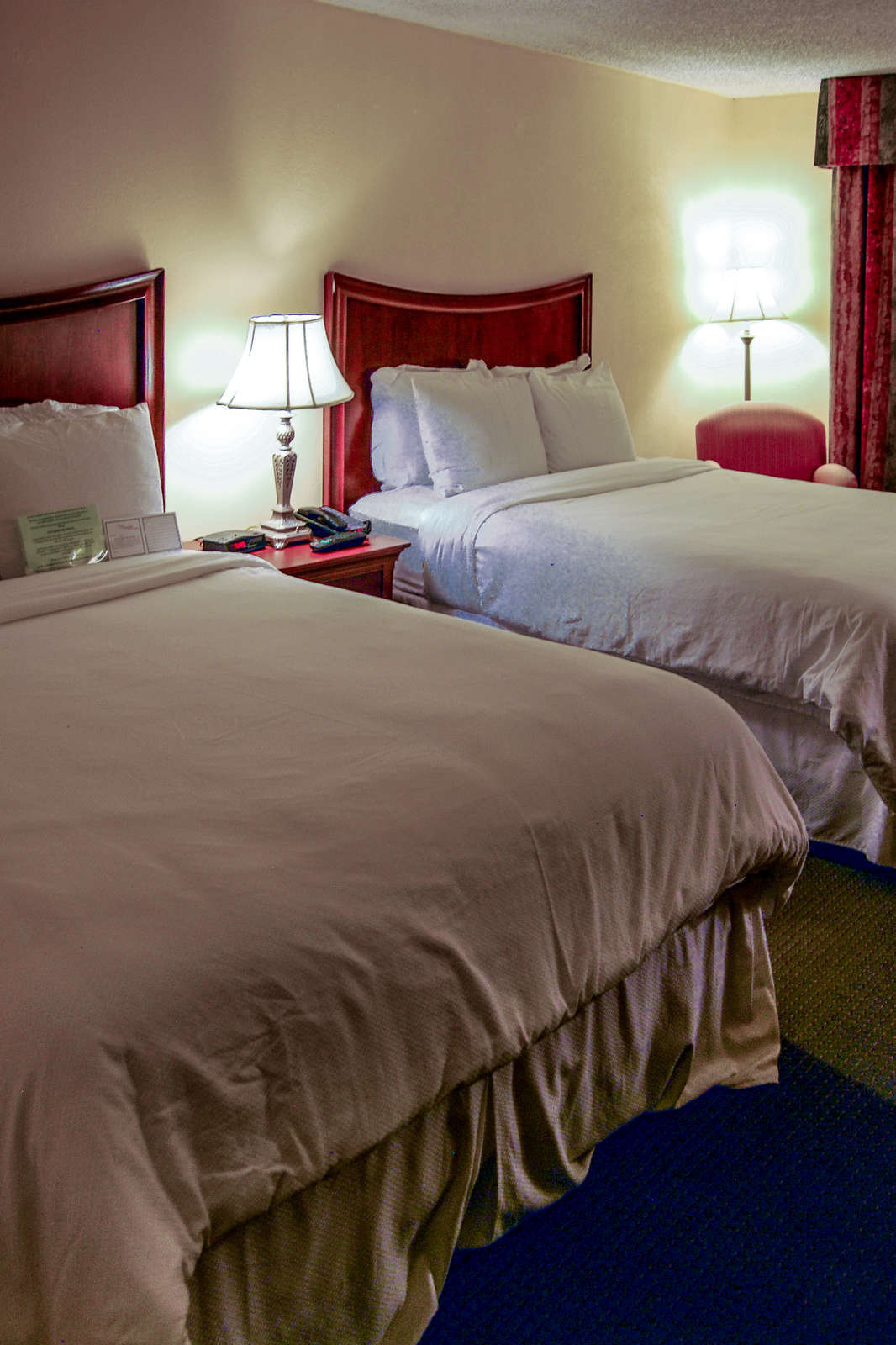 Hotel MCM Elegante photo 2