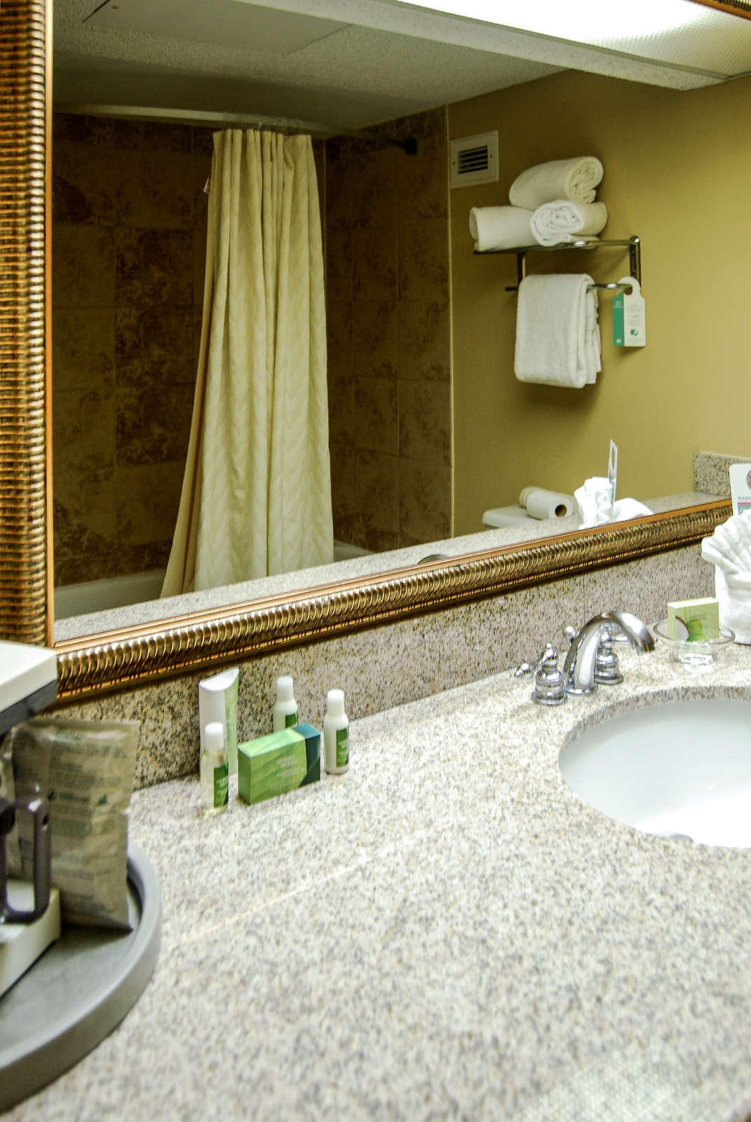 Hotel MCM Elegante photo 3