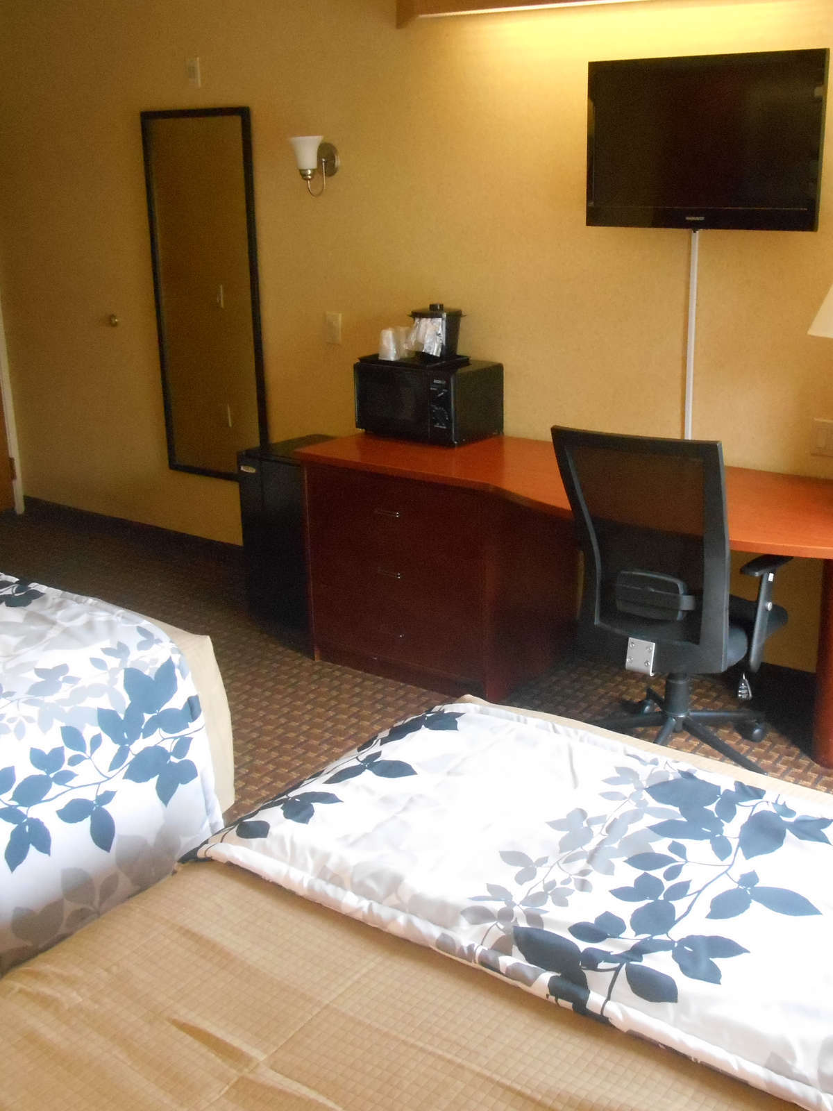 Hotel Motel 6 Indianapolis Airport photo 5