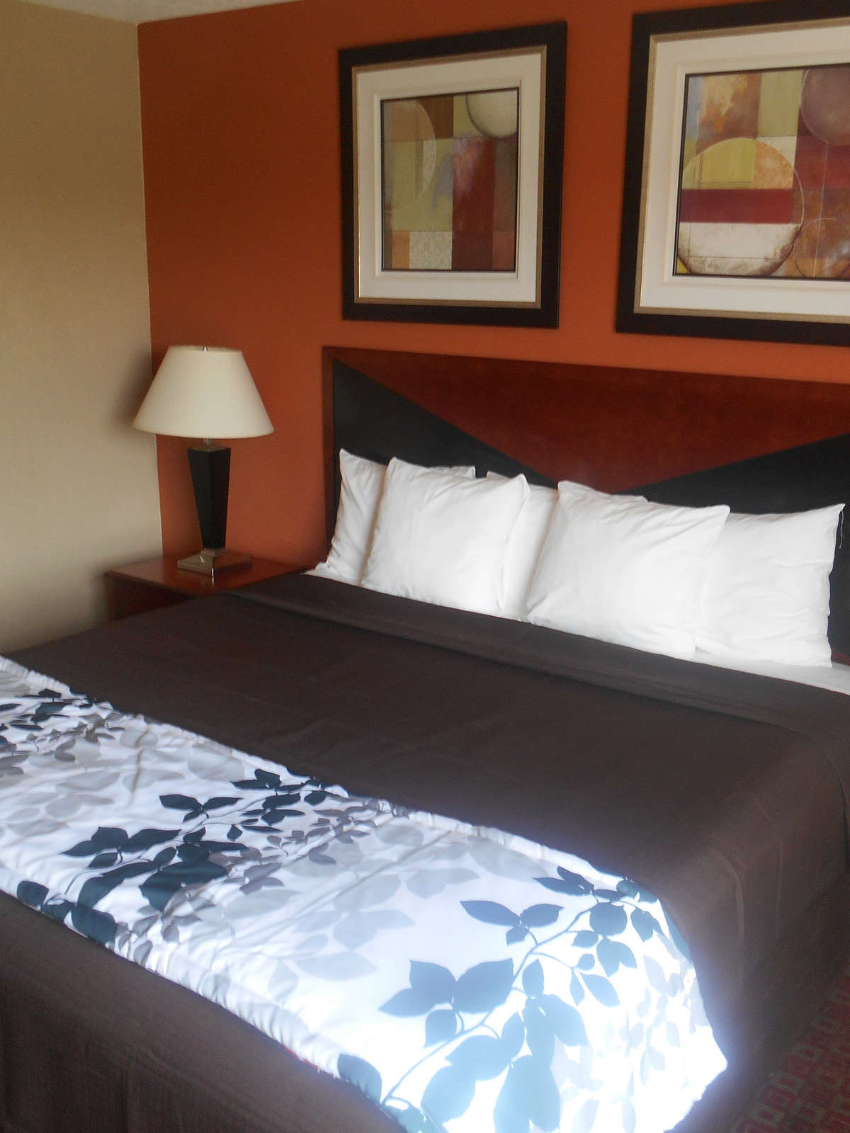 Hotel Motel 6 Indianapolis Airport photo 2