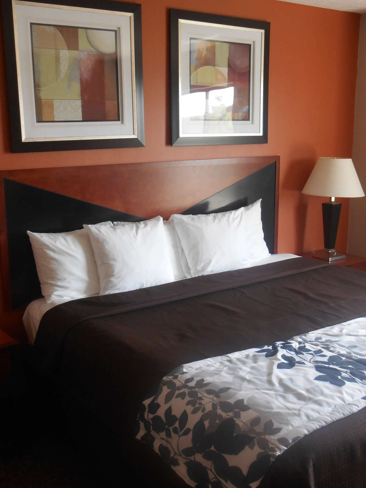 Hotel Motel 6 Indianapolis Airport photo 1