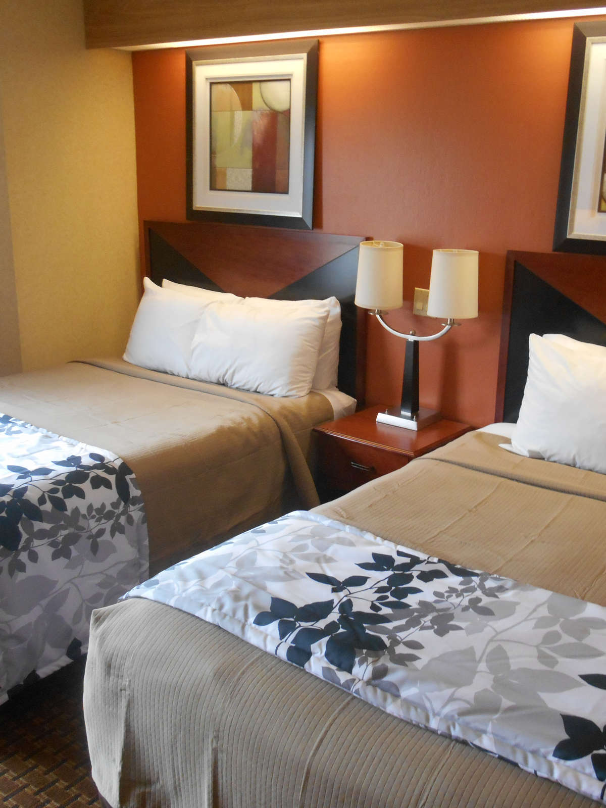 Hotel Motel 6 Indianapolis Airport photo 3