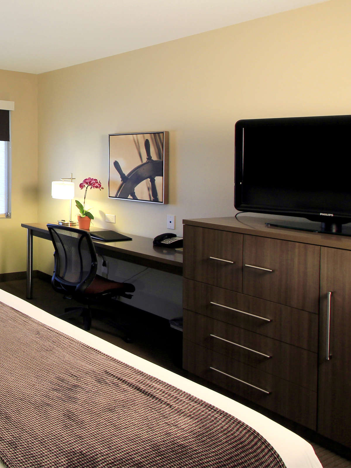 Hotel Executive Inn & Suites photo 5