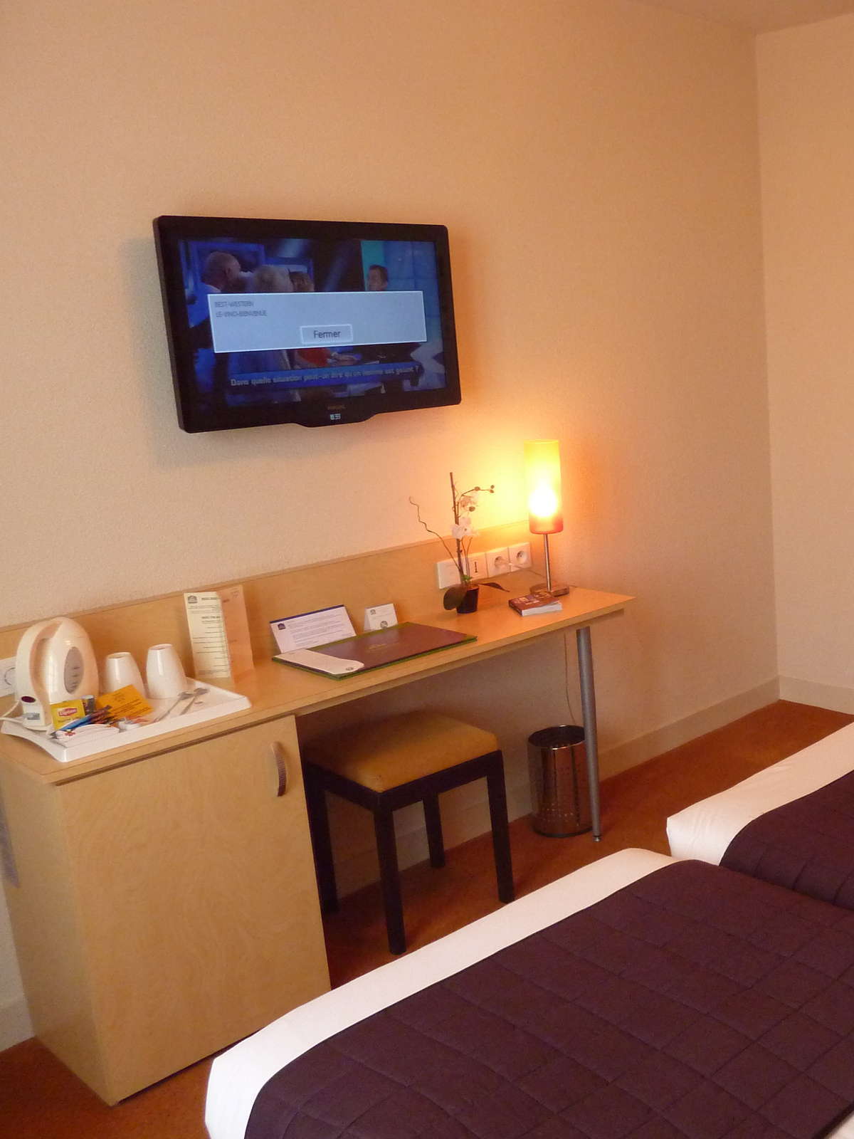 Hotel Best Western Le Vinci Loire Valley photo 2