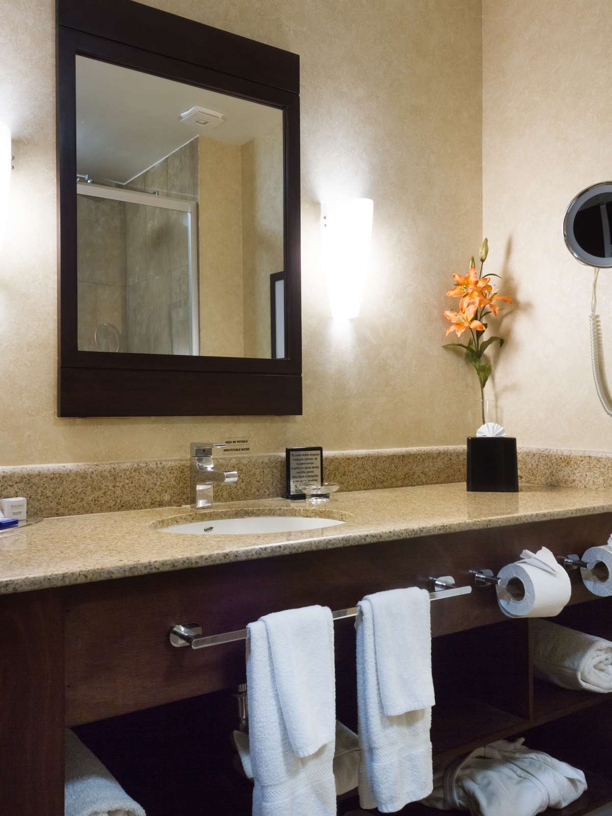 Hotel Best Western Premier Monterrey Aeropuerto photo 2