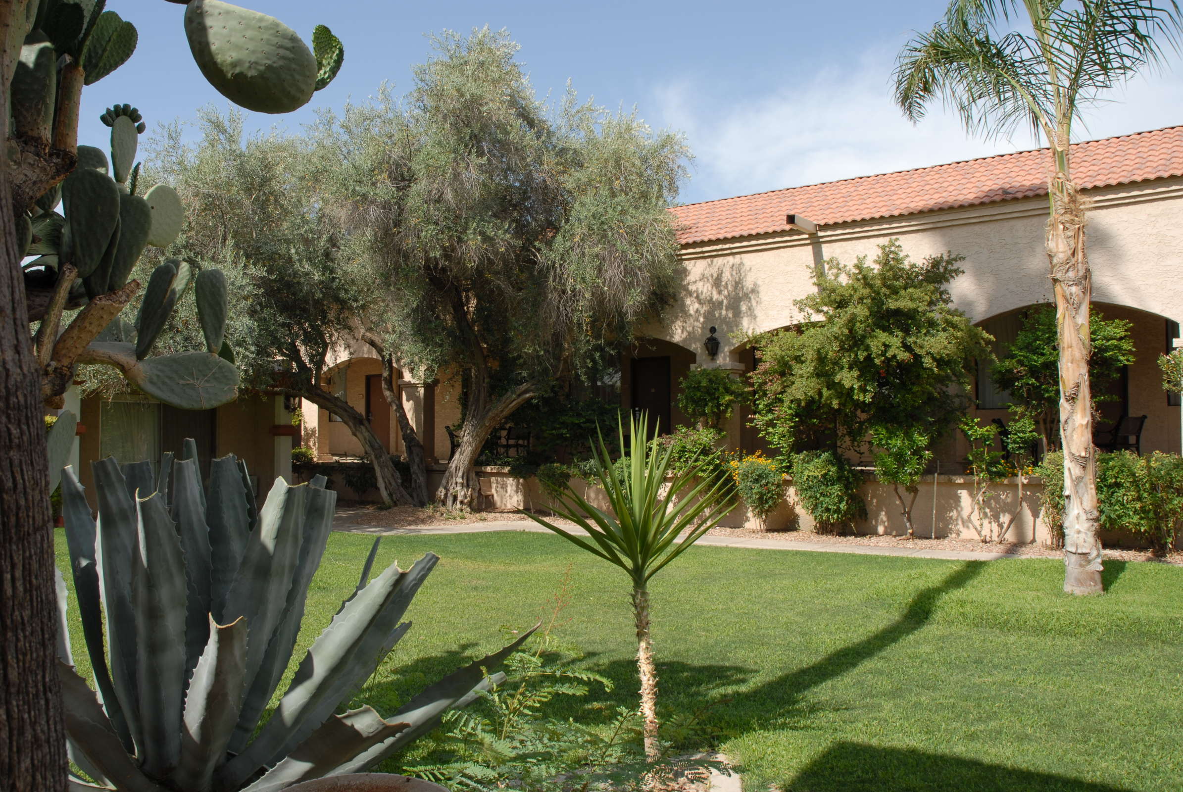 Hotel Best Western Phoenix Goodyear Inn photo 5