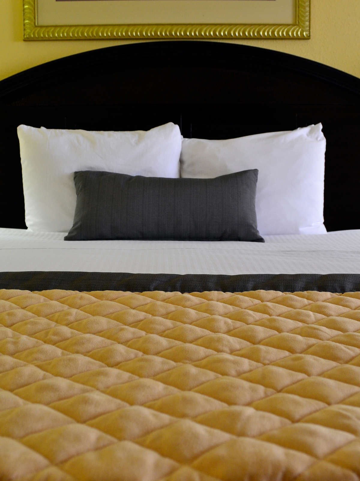 Hotel Wyndham Garden Fort Walton Beach photo 5