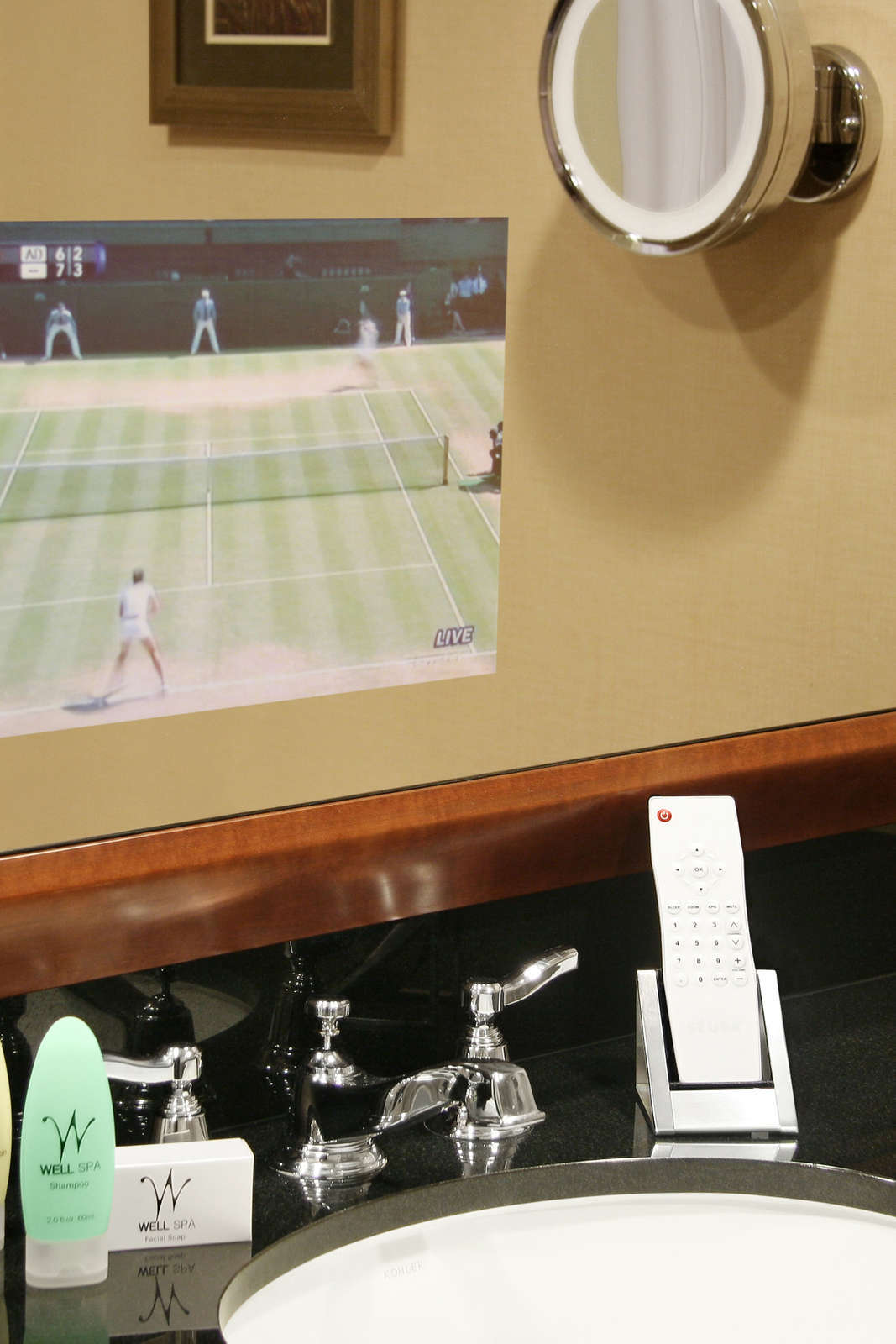 Hotel Grand Geneva Resort & Spa photo 4