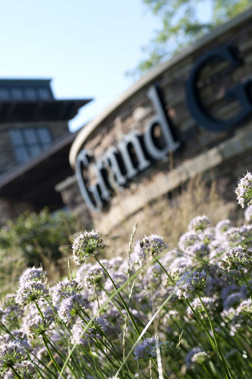 Hotel Grand Geneva Resort & Spa photo 1